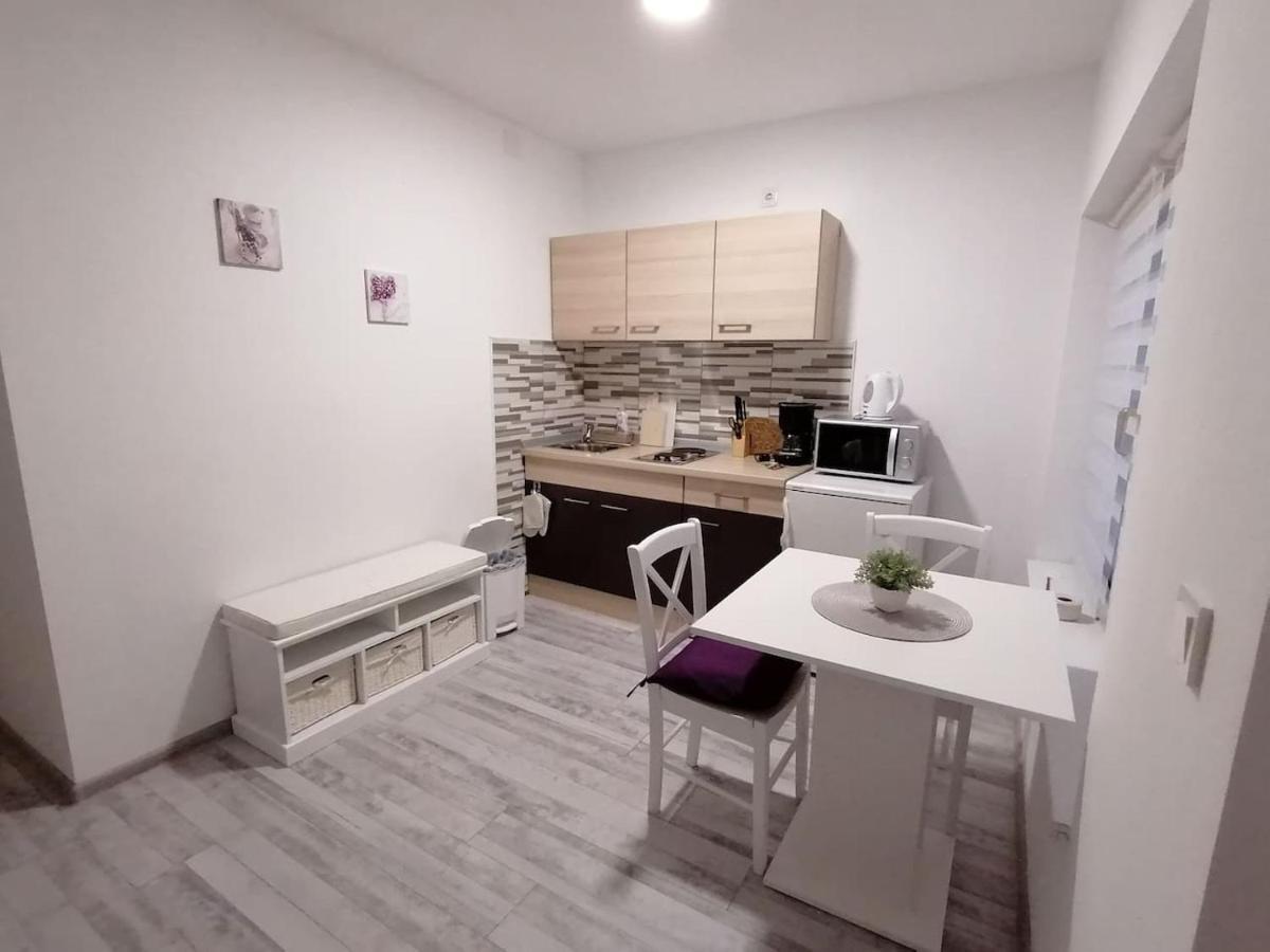 Apartman Lidija Dinjiška Extérieur photo