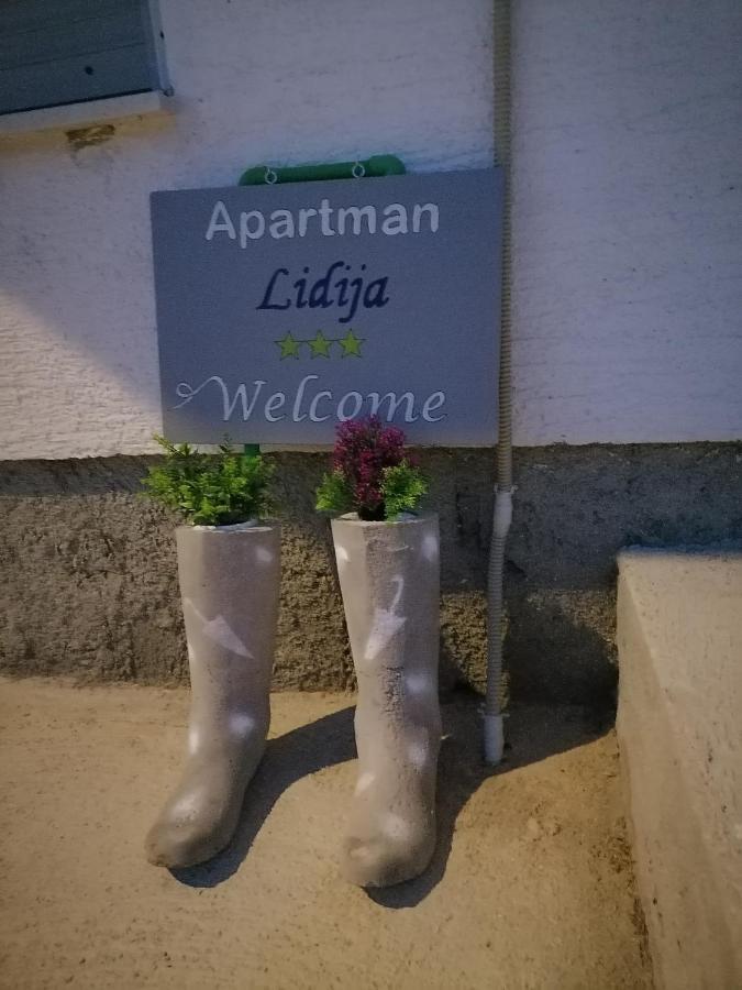 Apartman Lidija Dinjiška Extérieur photo